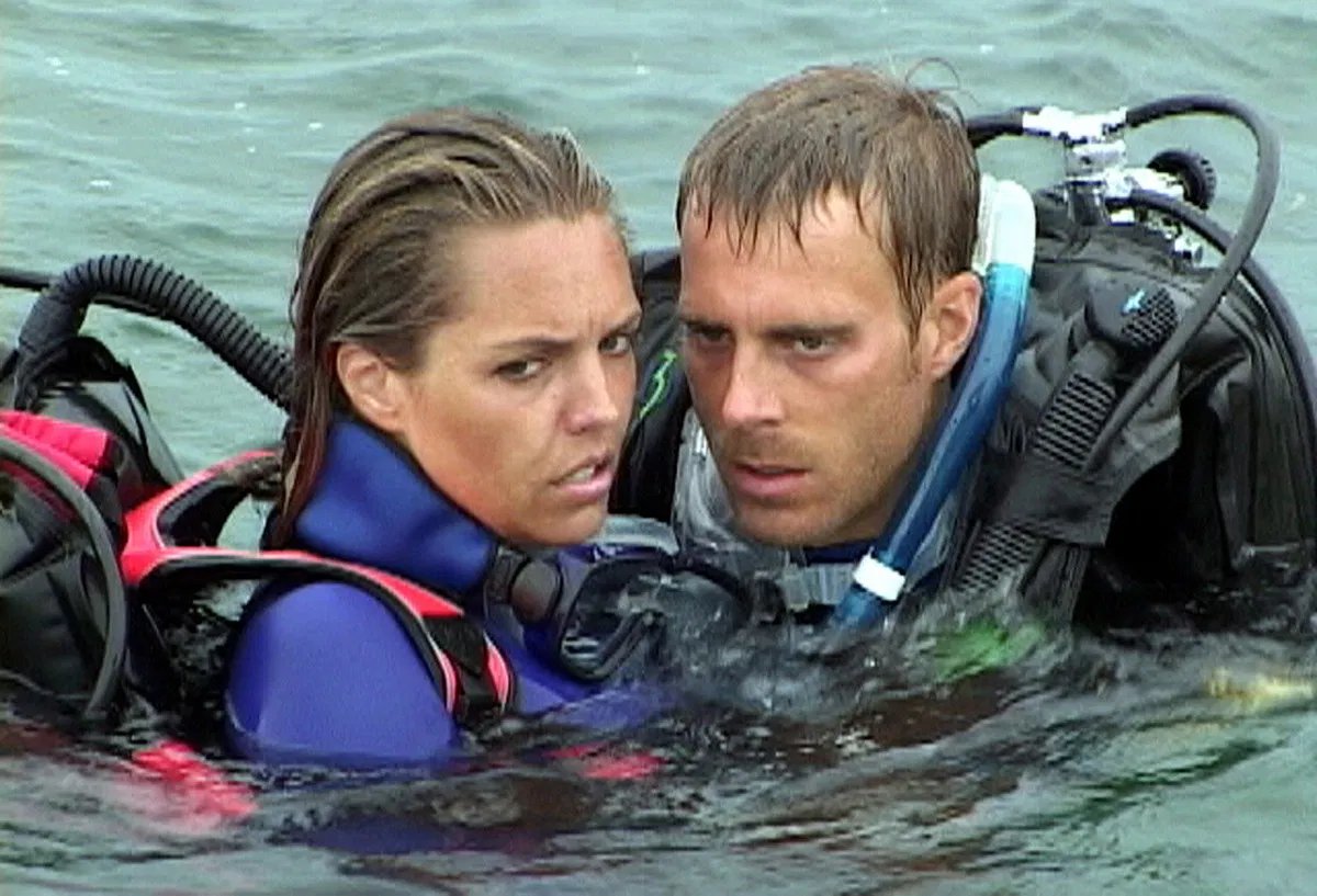 Open Water (2003) - AnglaisChris KentisFilm quasi-amateur américain. Deux touristes plongeurs se retrouvent abandonnés en pleine mer. Ils doivent attendre... ...Et les requins arrivent. Petit budget et gros succès.
