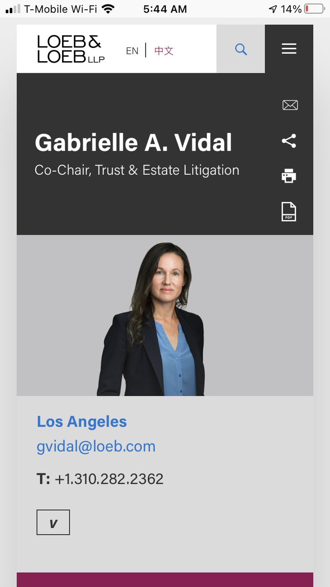 Connection made between one of the Loeb and Loeb co-chairs is Ms. Gabrielle a. Vidal. Interesting that she spoke on a panel with our (alleged) corrupt Judge Reva G. Goetz. The law worldIs getting smaller and smaller.