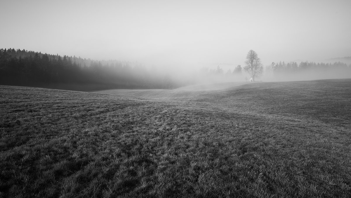fipa's tweet photo. Cvakání iPhonem mám rád, ale když jednou za čas vyfotím něco Leicou, tak je to stejně jinačí láska...;-) #kaplicka #leica https://t.co/SFhSaWIKm4