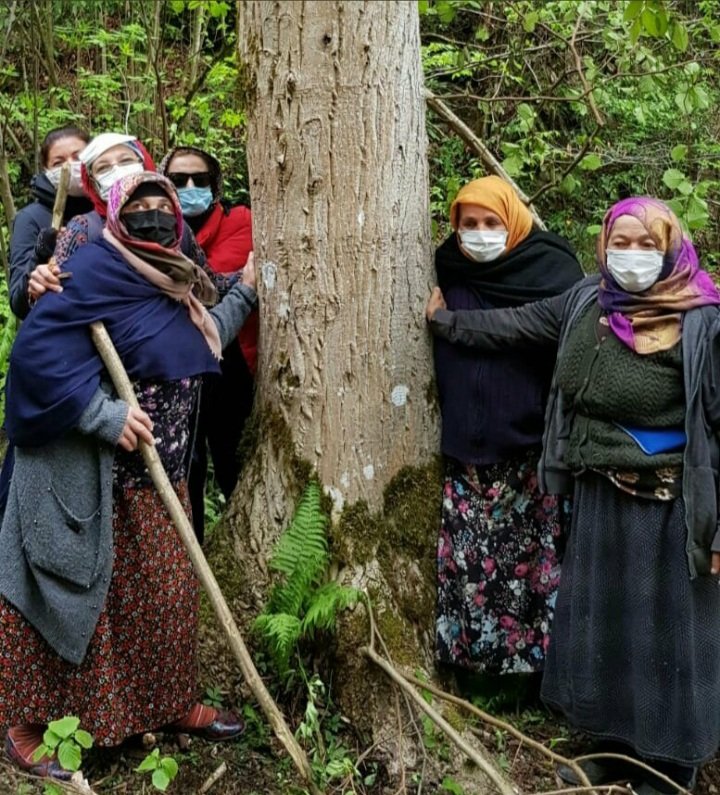 ebgenclik's tweet photo. Yaşamak bir ağaç gibi tek ve hür ve bir orman gibi kardeşçesine, bu hasret bizim...
#ikizderedireniyor
#ikizderetasocağıolmasın https://t.co/eEjyhSChZe