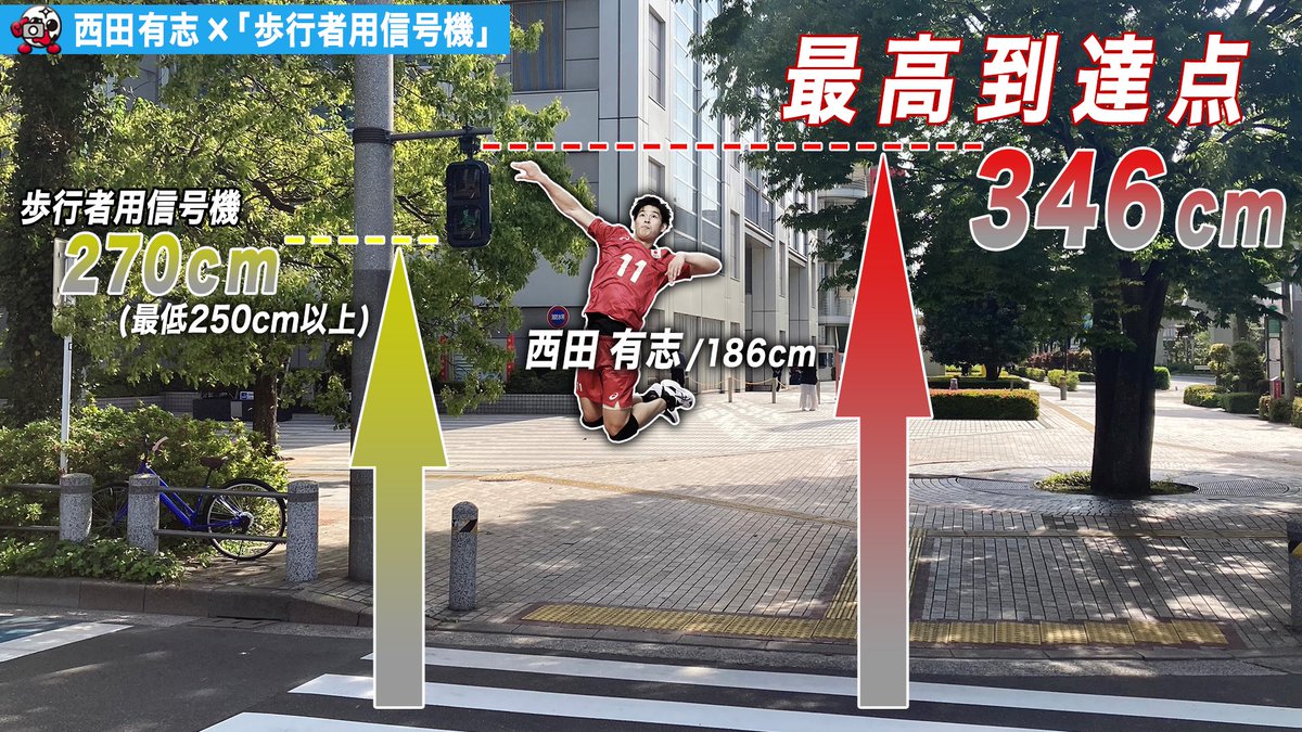 フジテレビ バレーボール バレーボーラーのスゴさを日常生活で体感 バレーボール 日本代表 日常 西田有志 選手の 最高到達点346cmは 歩行者用信号機を越える高さ みなさんも街中で 怪物サウスポー の 高さを体感してみては 東京