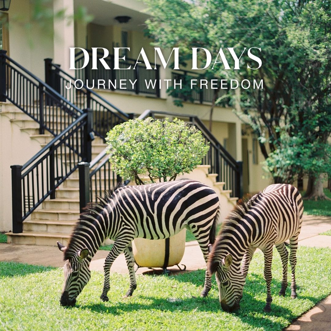 Start dreaming of your next journey. Book with freedom with our Best Flexible rates. Book now >> mhg.to/i2zok.

#royallivingstonehotel #anantara #traveltips  #discoverzambia