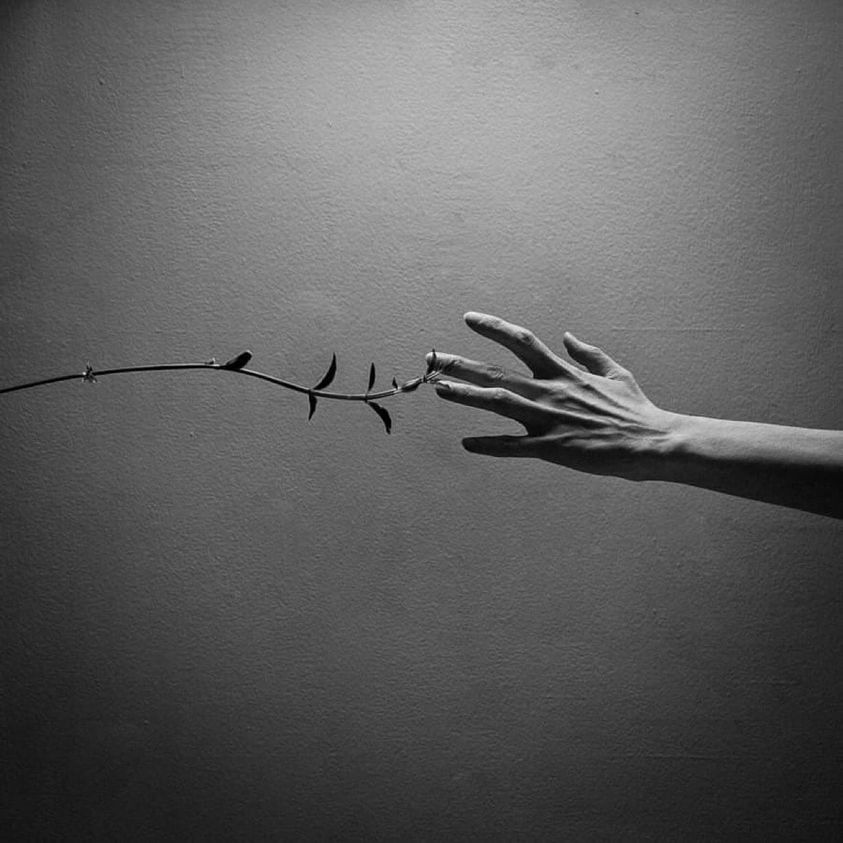 literlandweb1's tweet photo. ¿Es posible el equilibrio de voluntades?: "Soy pesimista por inteligencia pero optimista por voluntad", decía Antonio Gramsci https://t.co/EjSFZz6pGH