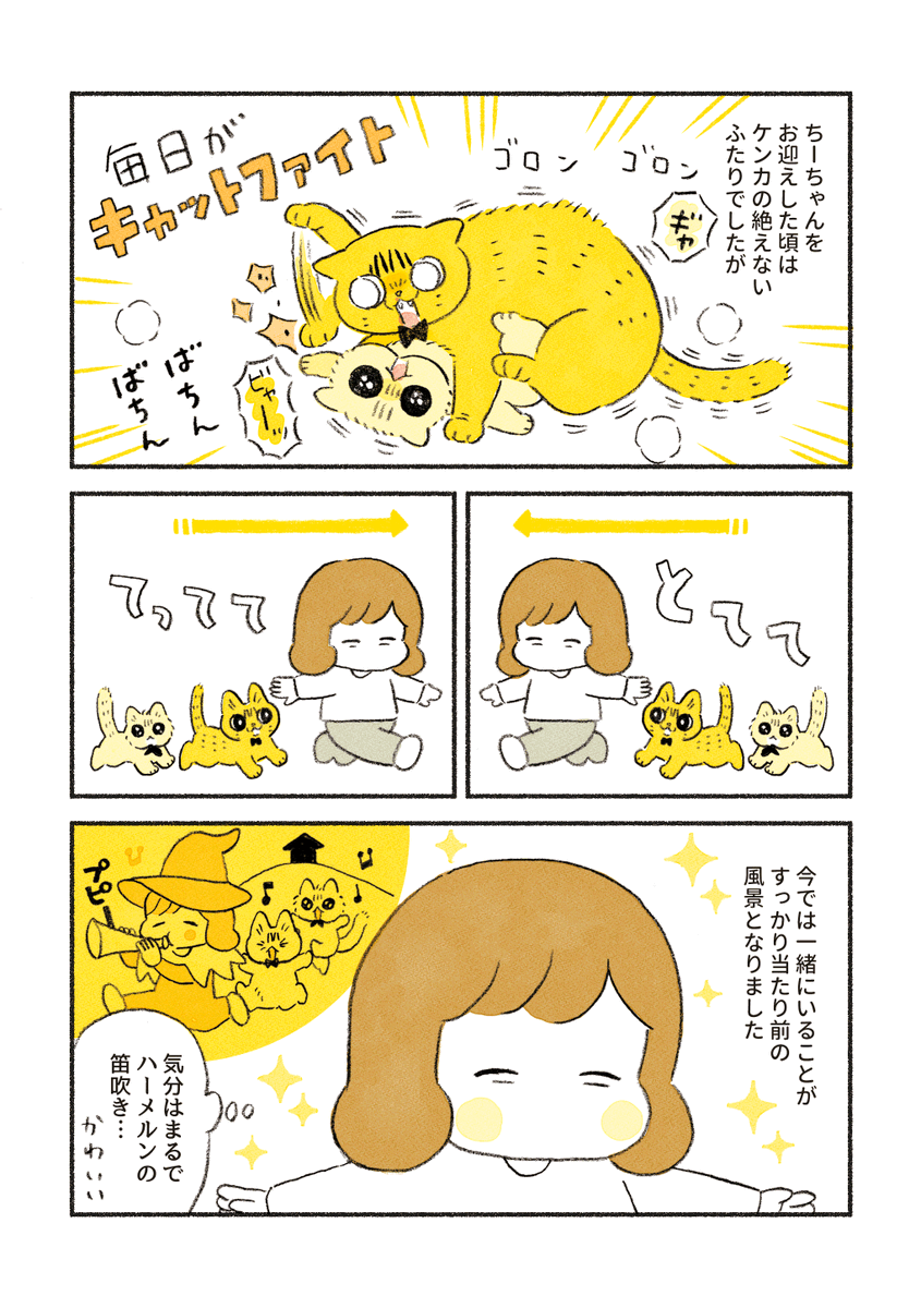 やっちゃんとちーちゃんのファインプレー 