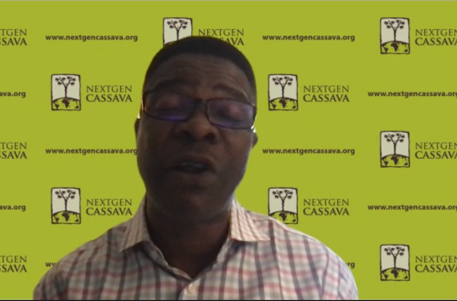 Nigerian Economic Summit Group (NESG) tweet media