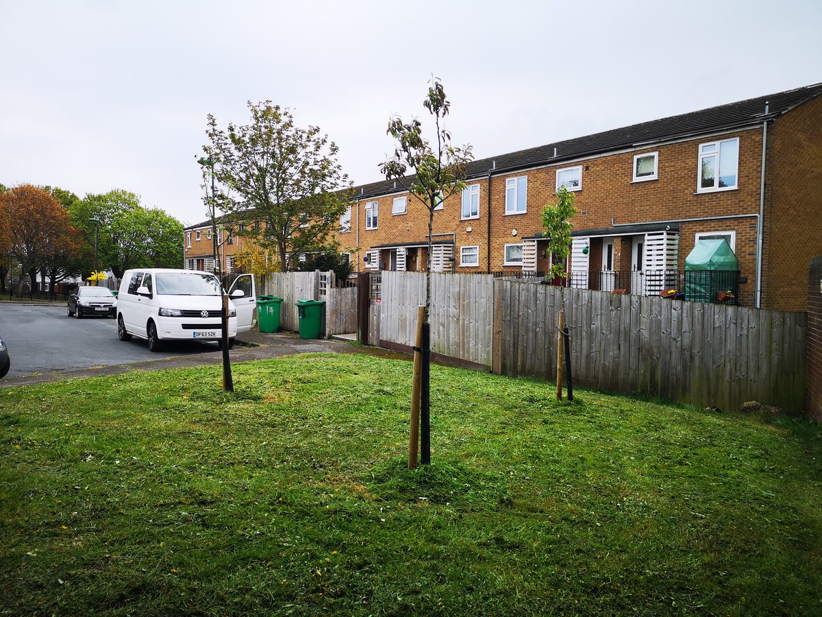BlueBarrelCider's tweet image. As well as planting in old orchards we planted over 80 trees in disused public spaces across the city. Today we went back &amp;amp; watered some of these trees in a social housing garden in St Anns, #Notts
#urbantreeplanting
#weneedrain
#urbantreeproject
@TreesforCities