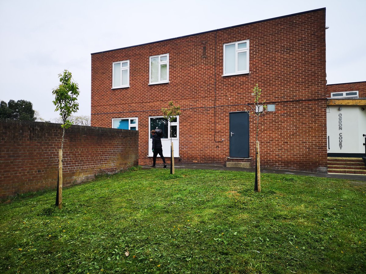 BlueBarrelCider's tweet image. As well as planting in old orchards we planted over 80 trees in disused public spaces across the city. Today we went back &amp;amp; watered some of these trees in a social housing garden in St Anns, #Notts
#urbantreeplanting
#weneedrain
#urbantreeproject
@TreesforCities