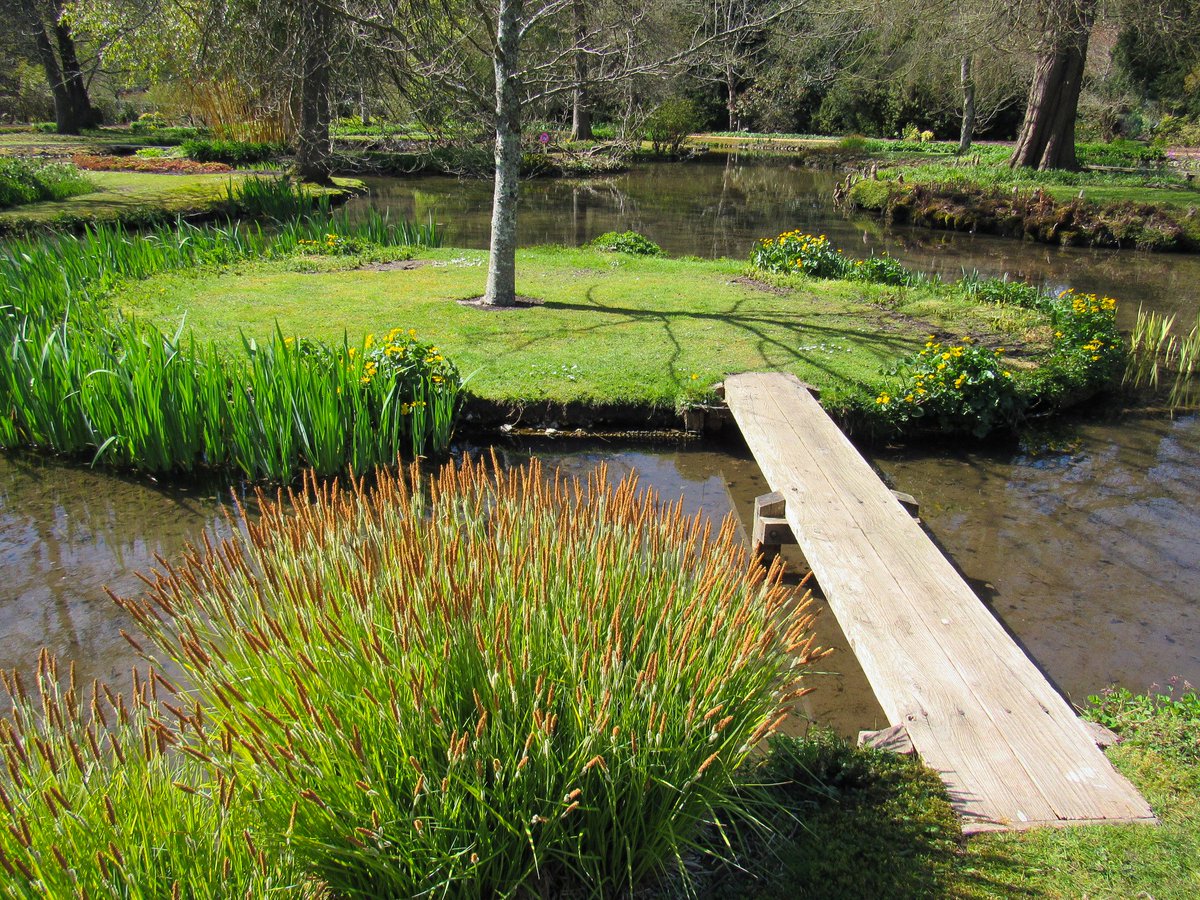 Longstock Water Garden - not in full colour yet but still beautiful #TestValley @hantsconnect @TestValleyBC @VisitTestValley @VisitHampshire @moreTestValley @destinationroms @romseyadver