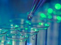 Hanna Moore + Curley tweet media