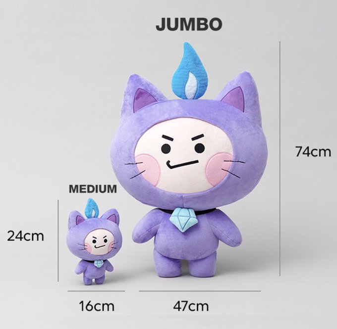 RM 95 RT
