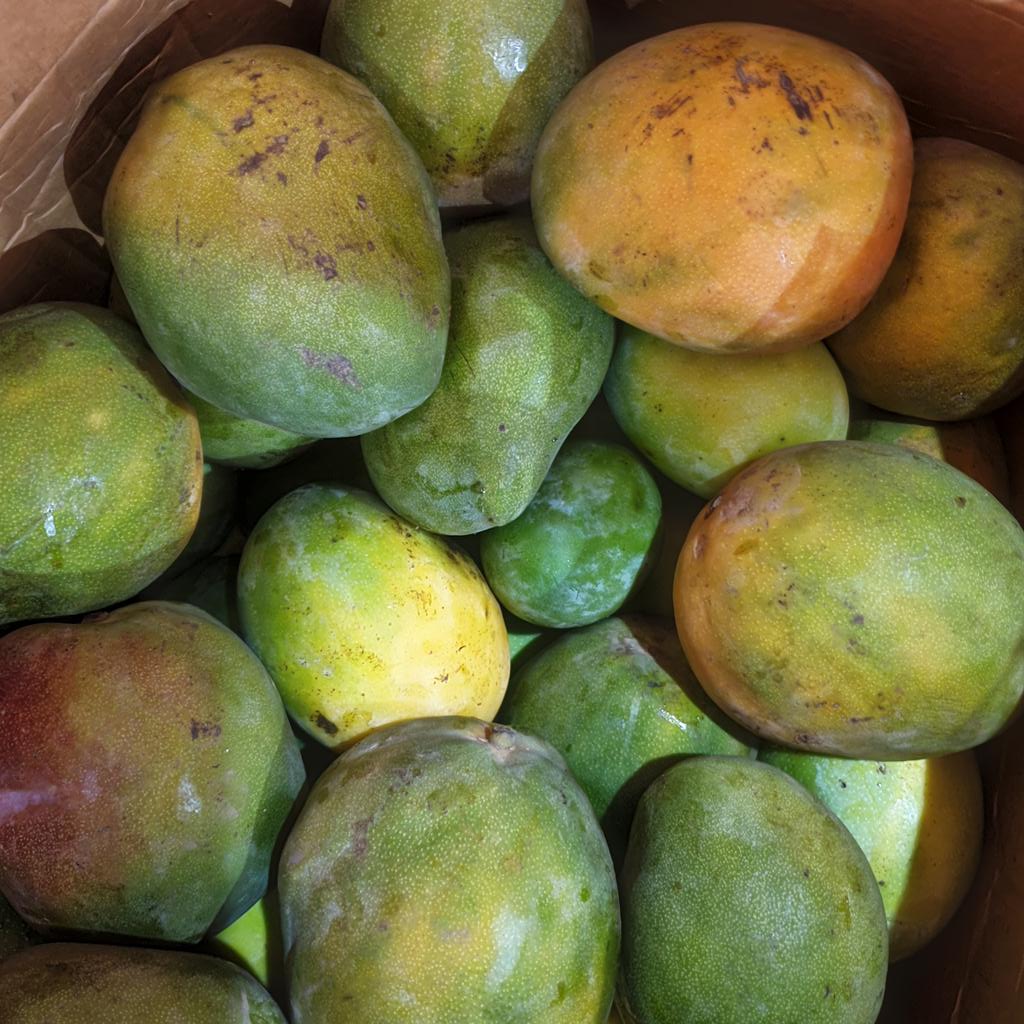DzifaAtifufu's tweet photo. Bonne saison des #mangues à #Ouaga Choisissons si possible des mangues issues de la culture biologique. Celle-ci (les variétes : amélie, lippens et kent) sont produites sur 5ha à 5km de #Banfora. 🇧🇫
#lwili #Agriculture #ProduitsNaturels #producteurs #BienEtre #EconomieLocal https://t.co/EUDxXR5bfo