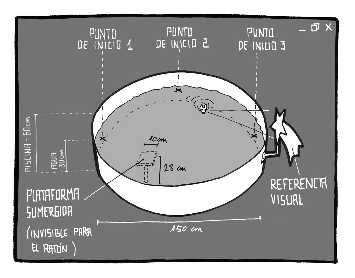 pjbarrecheguren's tweet photo. 🎉Me hace mucha ilusión anunciaros que hoy se publica mi libro “Neurogamer: cómo los videojuegos nos ayudan a comprender nuestro cerebro” ¡El primer libro que junta neurociencia y videojuegos para responder a grandes preguntas!
https://t.co/9SGPiO0TqD
@EdicionesPaidos #Neurogamer https://t.co/BGaU7MXRQB