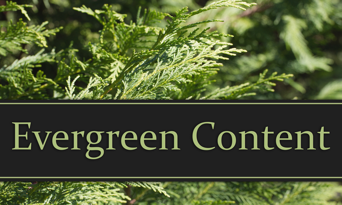 PointAMarketing's tweet photo. Evergreen 🌲 #content keeps your business relevant. https://t.co/04Fwy5JTOS https://t.co/foyAZU1jMv