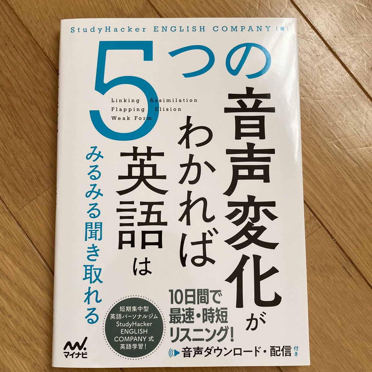 Cheko 英語 デグー垢 Checo Twitter