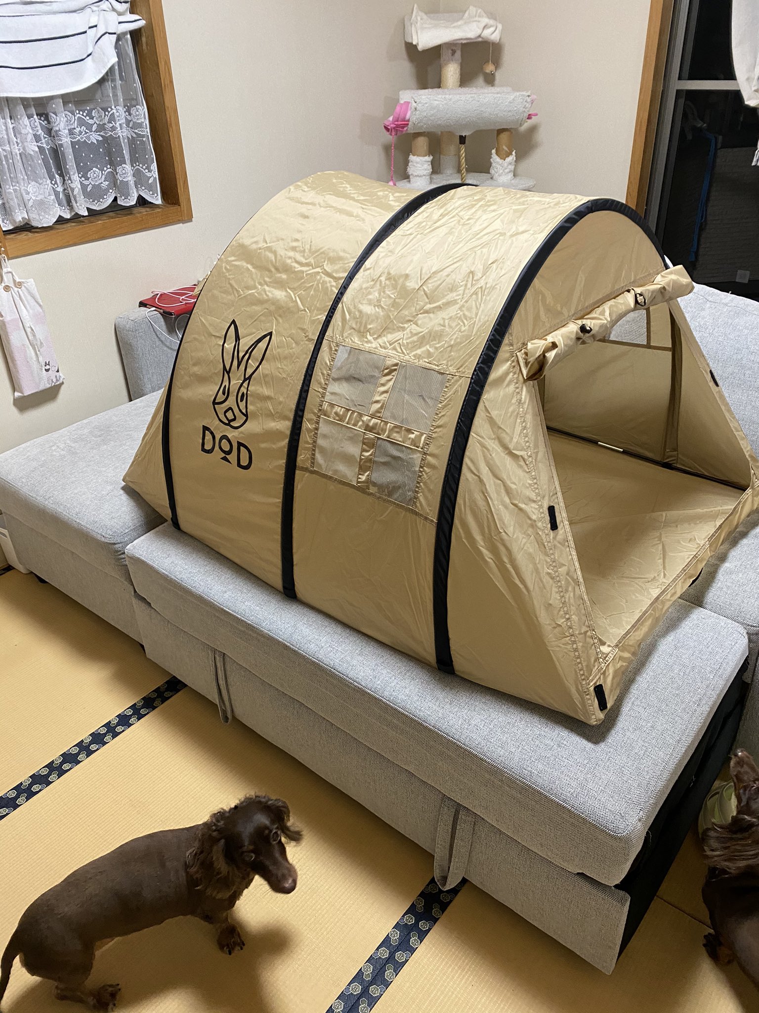 DOD カマボコテントベビー 新品未開封 お子様が喜ぶ事間違いなし！？DODのカマボコテント ベビー