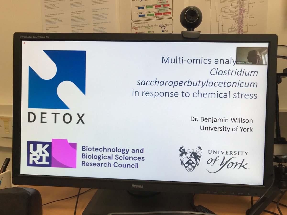 GavinHThomas's tweet image. Double header from @Detox_Project postdocs Joe Webb and Ben Willson at the Biotech session at @MicrobioSoc #Microbio21 - both mentioned our browser-based omics analysis tool MORF morf-db.org - let me know if you&apos;d like us to host your data :-) @BBSRC @UKRI_News