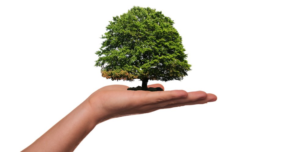 Earth Day 2021 – How AP Can Make a Positive Impact. A new article from @bobcohen_ardent on CPO Rising today: ow.ly/Owlo50ExMBA #APautomation #ePayables