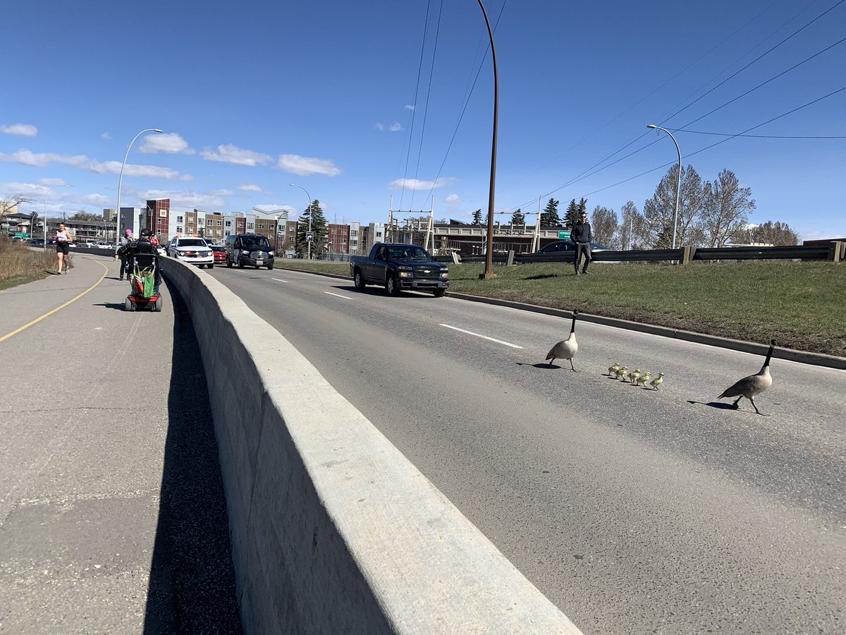 Canadian style traffic jam on Memorial Dr. #yyc