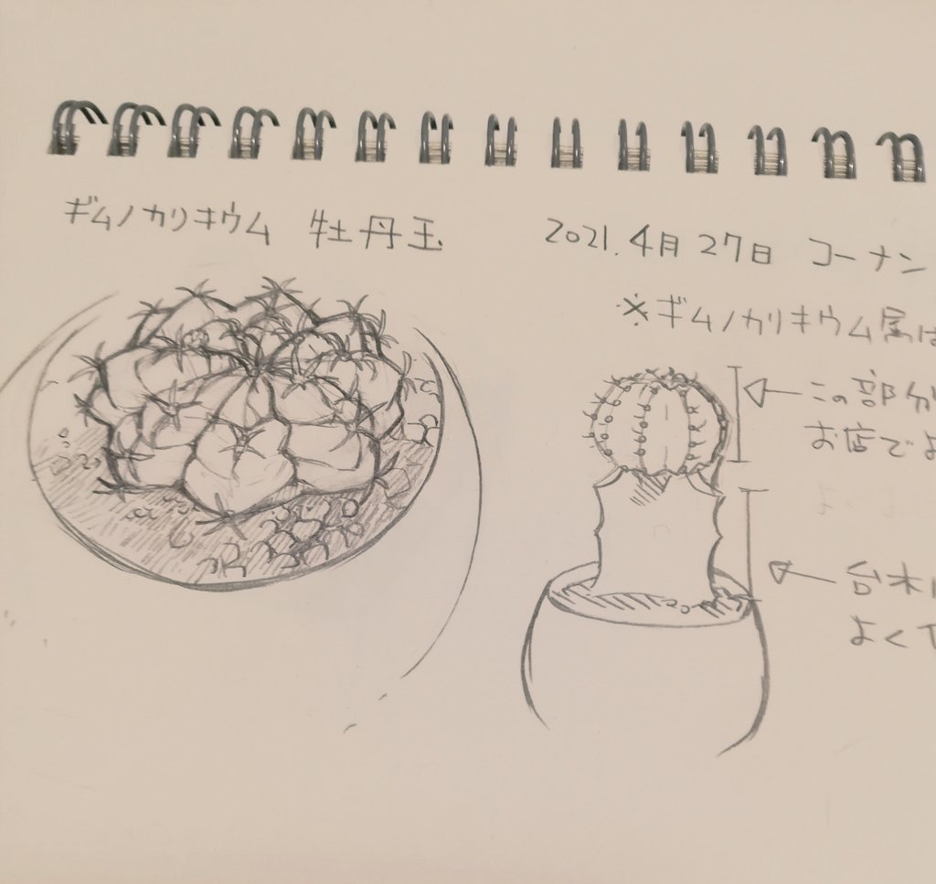 色はゆっくり塗ってこう 