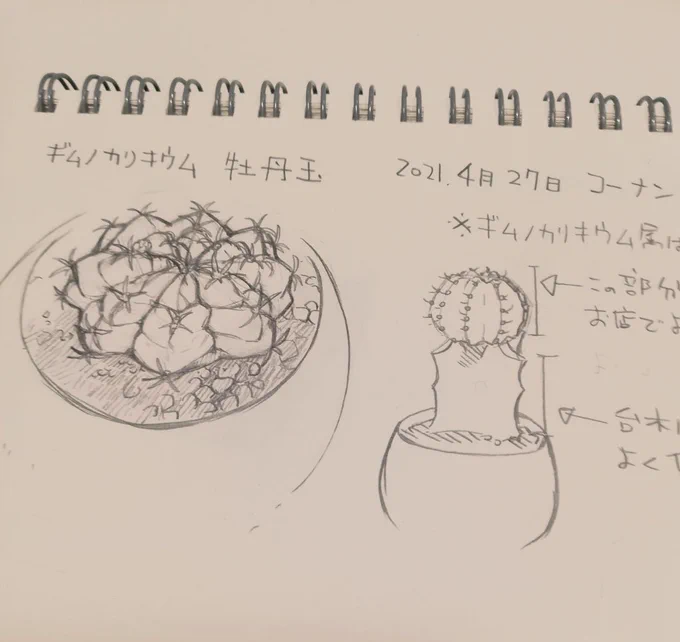 色はゆっくり塗ってこう 