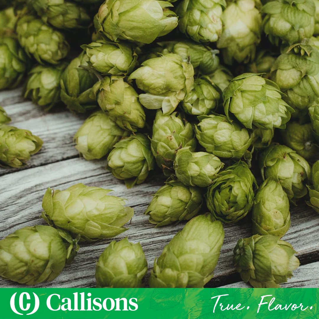 CallisonsMint's tweet photo. The hops based beverage category in both alcohol and non-alcohol is going to be something to keep an eye on for the foreseeable future! https://t.co/BQNGp1zHMW https://t.co/Tykvq5wPDJ