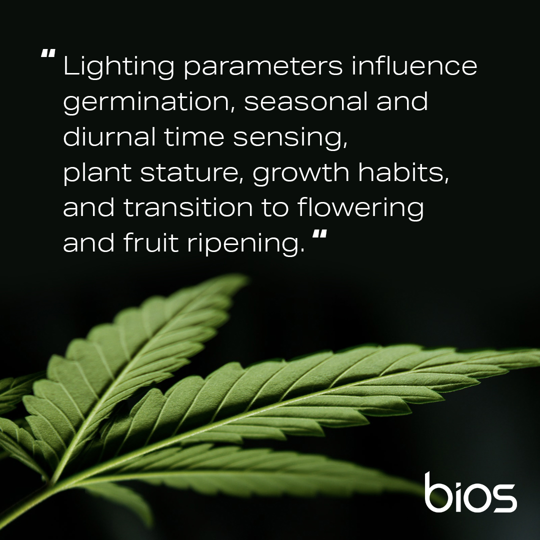 BIOSLIGHTINGLED's tweet image. One of the most critical challenges is to provide plants with enough photoperiodic sunlight for effective photosynthesis. Read more about light controllability here - zcu.io/SEdT