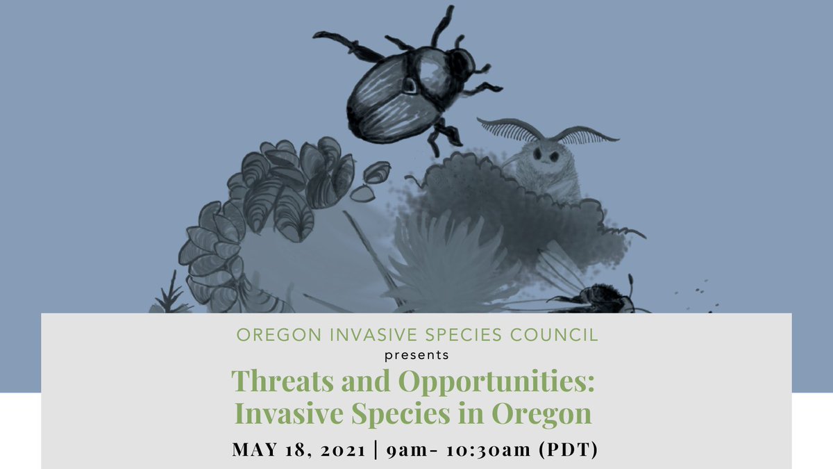 OISCouncil's tweet photo. Register now for our Threats and Opportunities: Invasive Species in Oregon webinar on May 18th! https://t.co/4d3OHjJfpH https://t.co/O8dUuhMTfQ
