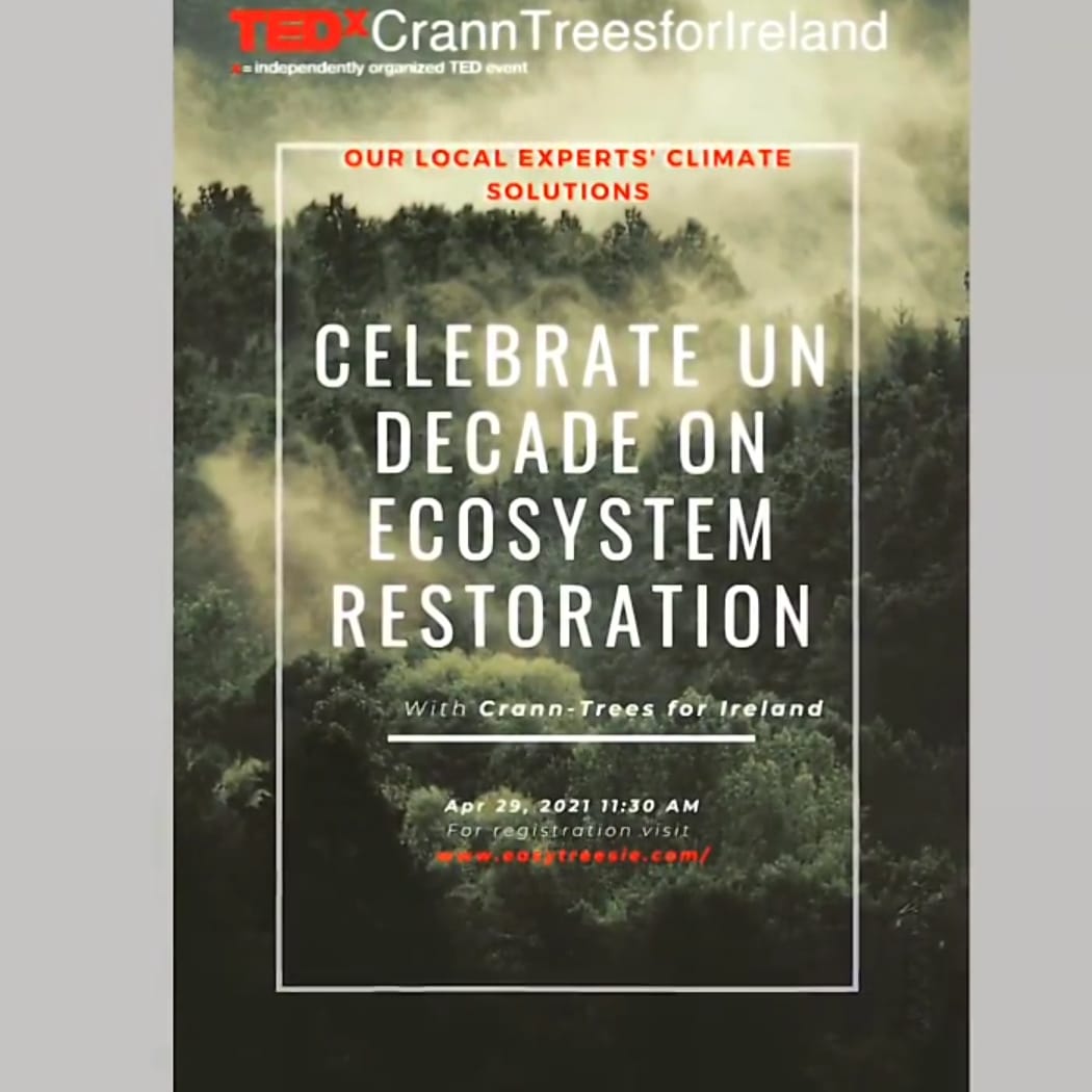 EasyTreesIE's tweet photo. #TreeCheers for all our #treeplanters @coilltenews @GreenSchoolsIre @FFFireland @foeireland @treenation @earthguardianz @RotaryGBI https://t.co/5e8XjzQN9v