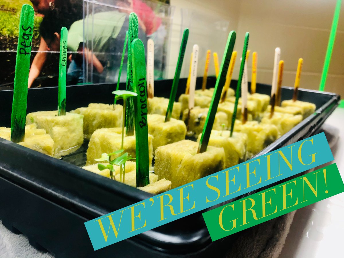 🅼🆁🆂 🅴🅻🅳🅴🆁 tweet media