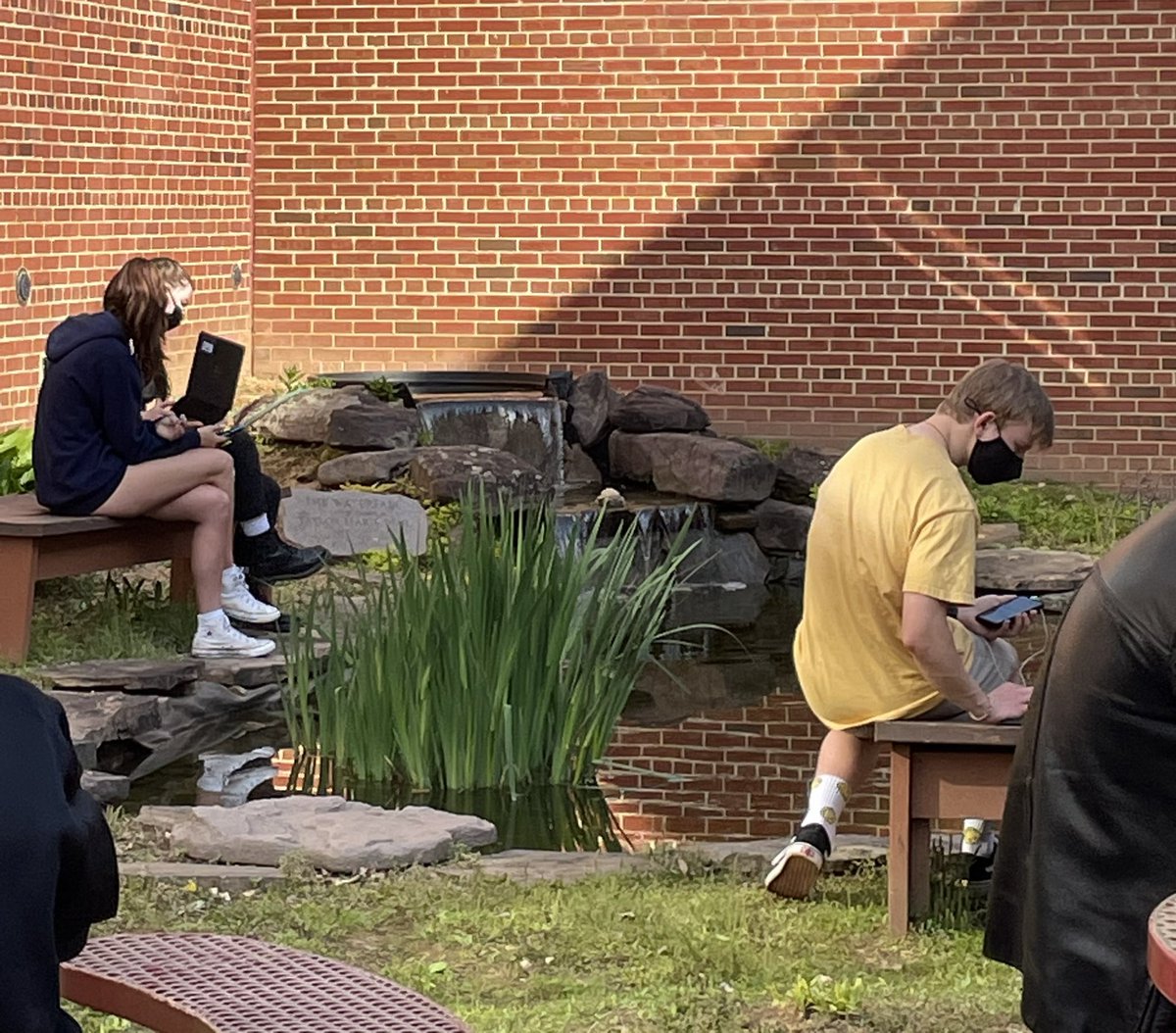 Taking advantage of this beautiful day, fueling the next generation of taxonomists! 🌼 <a href="/JamesMadisonHS/">MadisonHS</a>  @FCPSScience