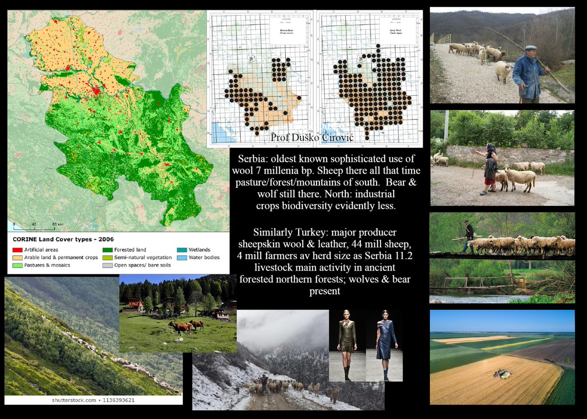 Meanwhile reality of course (slav lands still have far more bears/wolves than Germany) is biodiversity prospers best very places where indigenous people steward; next best livestock farmer & pastoral people; & remember economic/cultural autonomy & ACTUALLY sustainable co produce