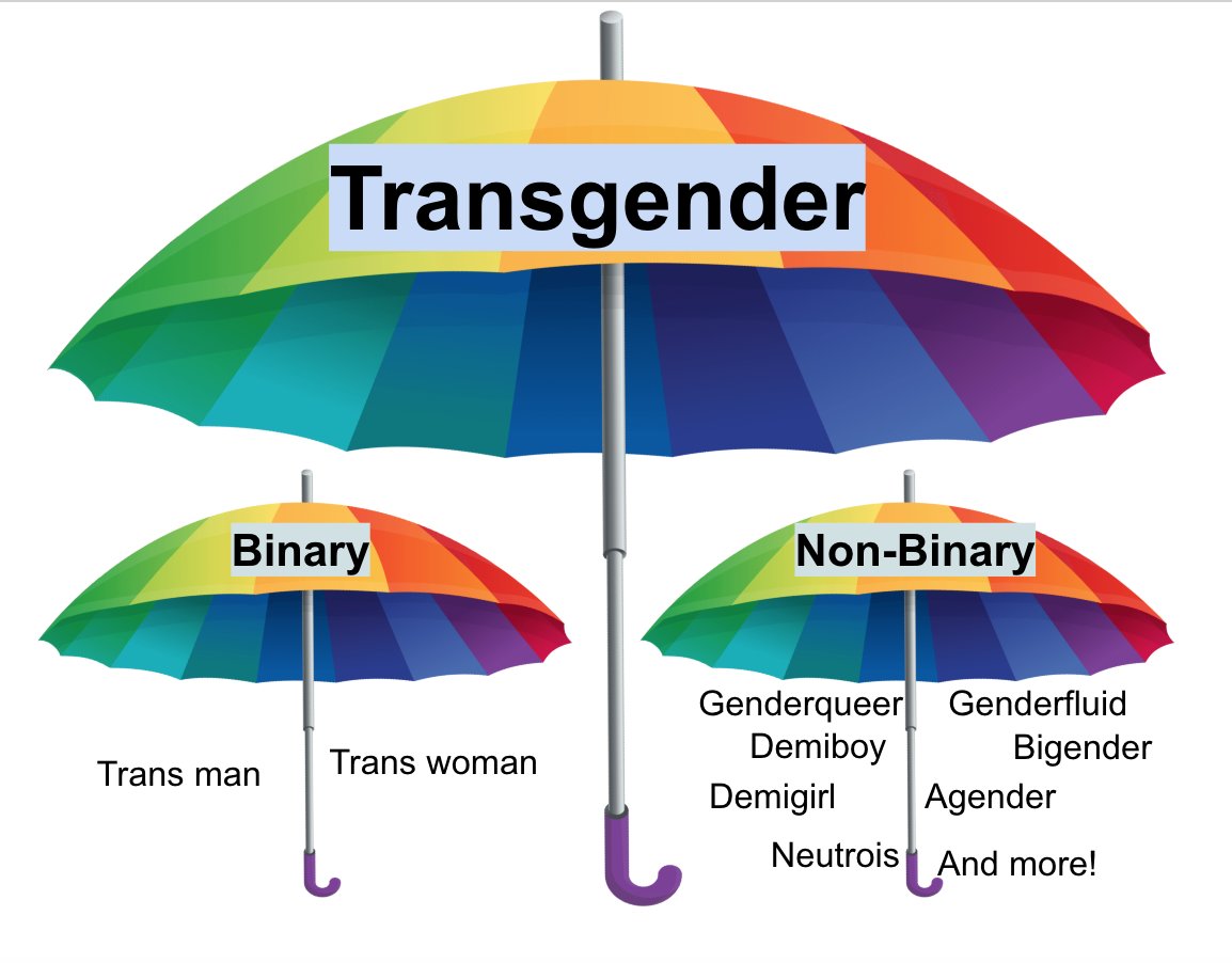 Bon je vois bcp de personnes se demander comment on peut être une femme non binaire alors petit thread qui reprend les bases et on ressort l'éternel parapluie