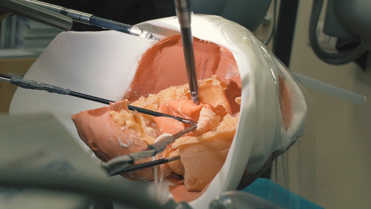 👉Registration open for the Multi-domain ENDOSCOPIC SURGEON ACTION DETECTION CHALLENGE SARAS-MESAD <a href="/MICCAI_Society/">MICCAI</a> to explore multi-task learning in surgical action detection. 
Learn more! bit.ly/3xEBwBF 
#MICCAI #DeepLearning #roboticsurgery <a href="/BrookesCLO/">Oxford Brookes CE</a>