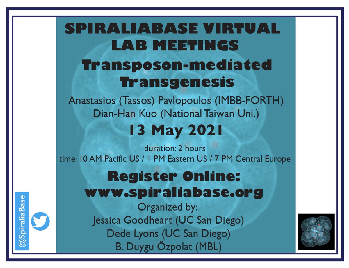 Register for our next VLM on Transposon-mediated Transgenesis! Dian-Han Kuo and Tassos Pavlopoulos <a href="/TassosAP/">Anastasios Pavlopoulos</a> will be our speakers. We will be taking a break in June. 
spiraliabase.org/virtual-lab-me…