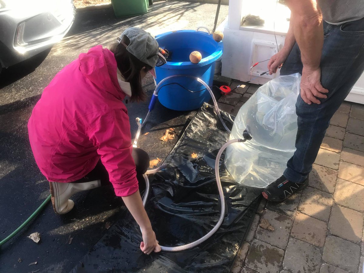 So nice to ditch the computer to do something more hands-on! I am building incubation chambers to do respirometry in situ on #kelp. The construction definitely has its challenges, but overall it is a lot of fun :) @UQAR  #bluecarbon #kelpforest