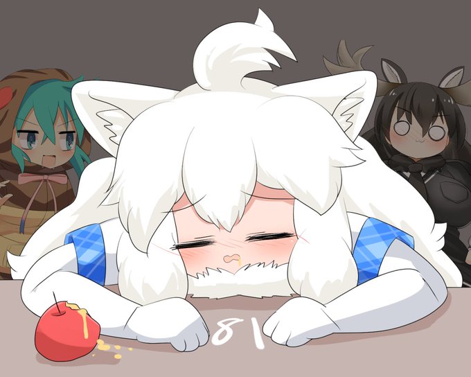 ホワイトライオンちゃん81日目 