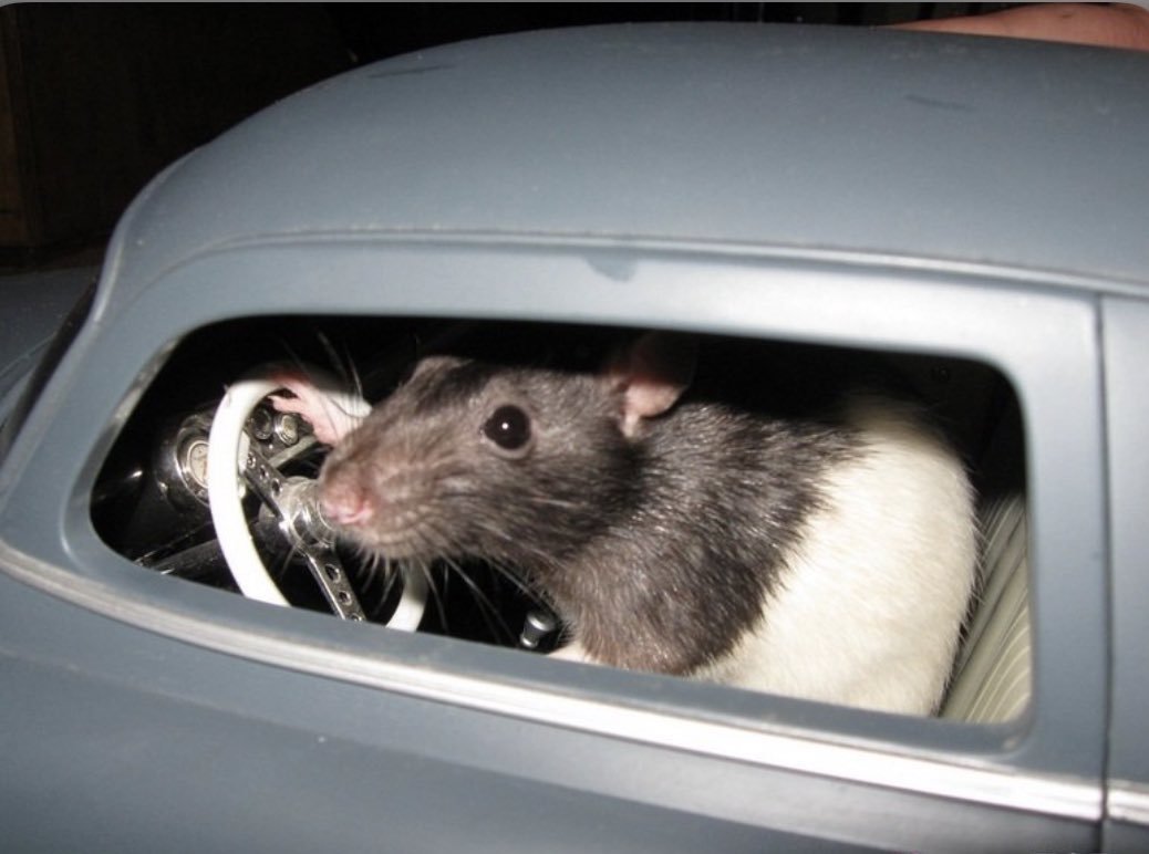 zenkiaw's tweet image. 