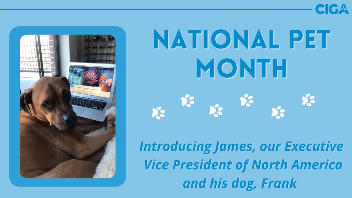 #nationalpetmonth 🐶

Next we would like to introduce Frank. Frank is owned by James, our Executive VP of North America. James’ role involves business development and client services. He has been with us since 2011. James loves to travel both for business and pleasure ✈️
