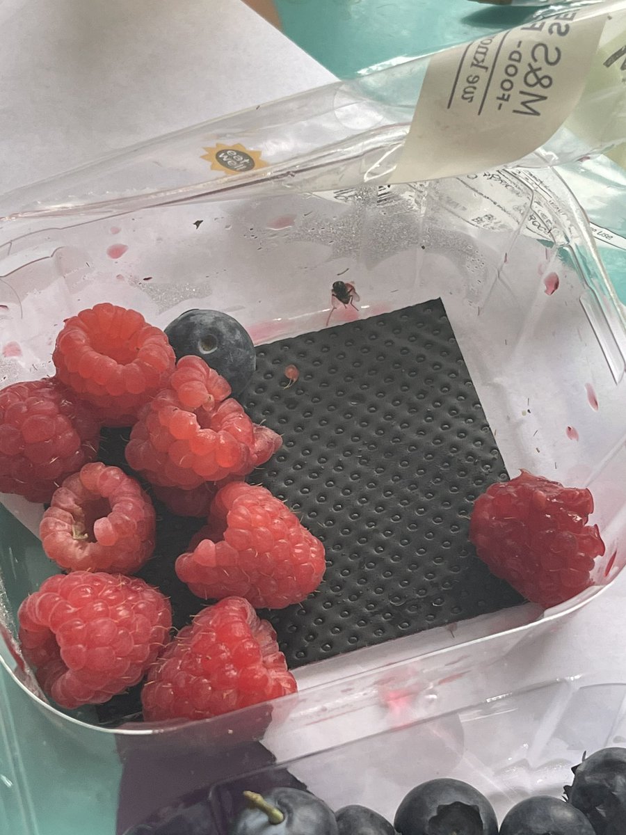 Natalie Morris tweet media