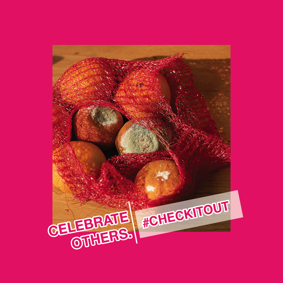 The fight against food waste is something we can all help to achieve. Check out the recipes online, listen in to the virtual talks and get some tips on things we can do to help use some of the produce we have in our homes. 
stopfoodwasteday.com/en/index.html
○
#stopfoodwaste
#checkitout