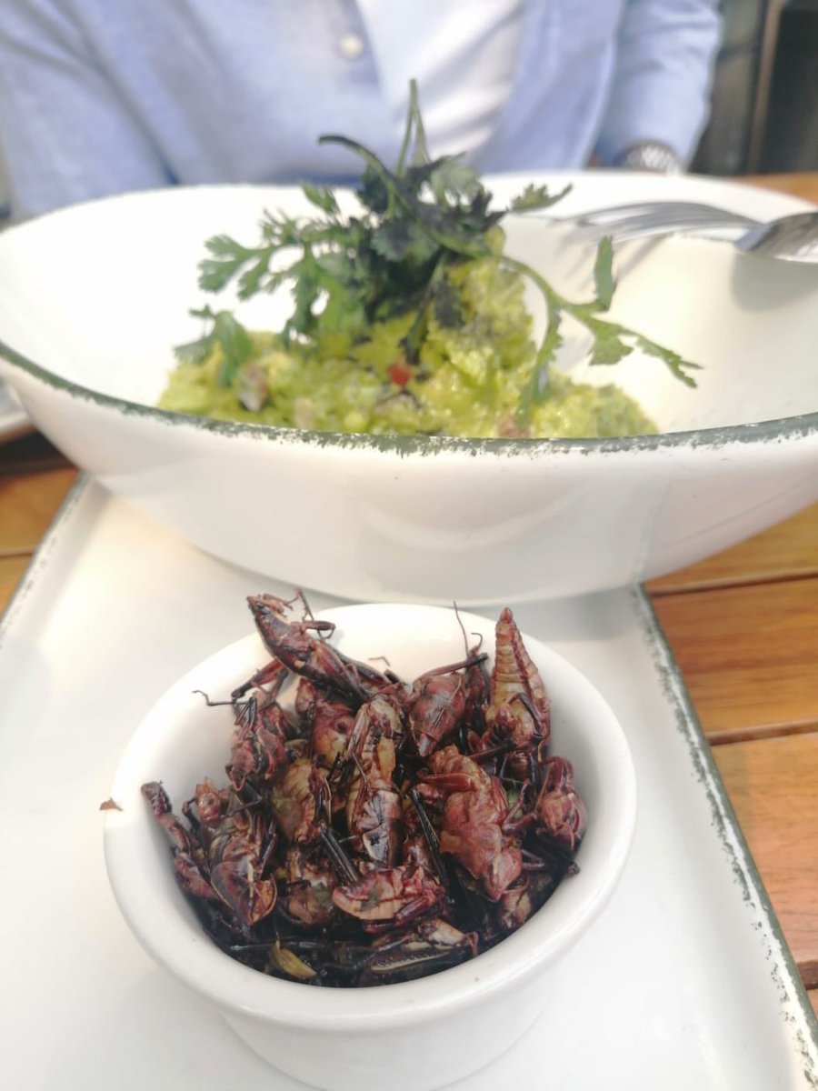 stem_math's tweet image. Crickets and guacamole.