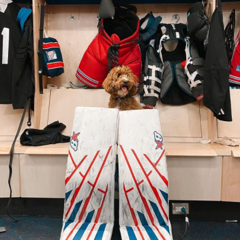 RangersMSGN's tweet photo. the man behind the mask. 

(Via: ourlovesimba/IG) https://t.co/BV6PX3HAdf