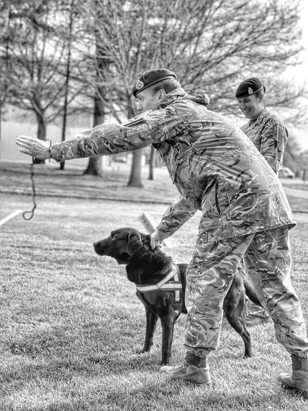 CO 1MWD Regt (@co1mwdregt) on Twitter photo A huge thank you to GOC <a href="/1UKDivision/">1 (UK) Division</a> from <a href="/CO1MWDRegt/">CO 1MWD Regt</a> and all ranks of <a href="/1MWD_Reg/">1st Military Working Dog Regiment</a> - a fantastic visit. We enjoyed helping you train with #MWD Freddie today. #teamrhino @Commander8X <a href="/29eod/">29EOD&S</a> <a href="/Official_DATR/">Defence Animal Training Regiment</a> A huge thank you to GOC <a href="/1UKDivision/">1 (UK) Division</a> from <a href="/CO1MWDRegt/">CO 1MWD Regt</a> and all ranks of <a href="/1MWD_Reg/">1st Military Working Dog Regiment</a> - a fantastic visit. We enjoyed helping you train with #MWD Freddie today. #teamrhino @Commander8X <a href="/29eod/">29EOD&S</a> <a href="/Official_DATR/">Defence Animal Training Regiment</a>
