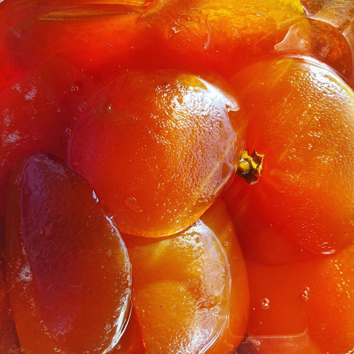 Bondir Cambridge tweet media