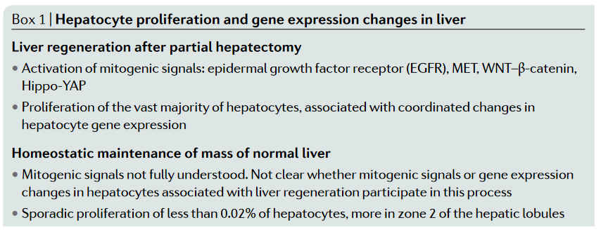 NatRevGastroHep's tweet photo. NEW! #NewsandViews

Liver | Novel insights into liver homeostasis and regeneration 

By George Michalopoulos

https://t.co/jkdCxSC1al https://t.co/yWL7porwPm