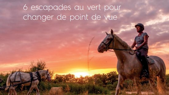 [COMMUNIQUÉ DE PRESSE 2021]

L'équipe presse du CRT Centre-Val de Loire est fière de vous présenter son communiqué de presse intitulé "Centre-Val de Loire, 6 escapades au vert pour changer de point de vue" ! 🌿

A retrouver ici -&gt; tourisme-pro-centre-valdeloire.fr/download/commu…