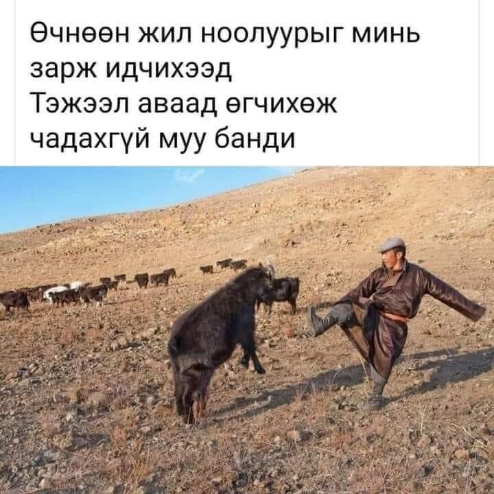 Otgonbayr.ch (@otgonbayrch) on Twitter photo 