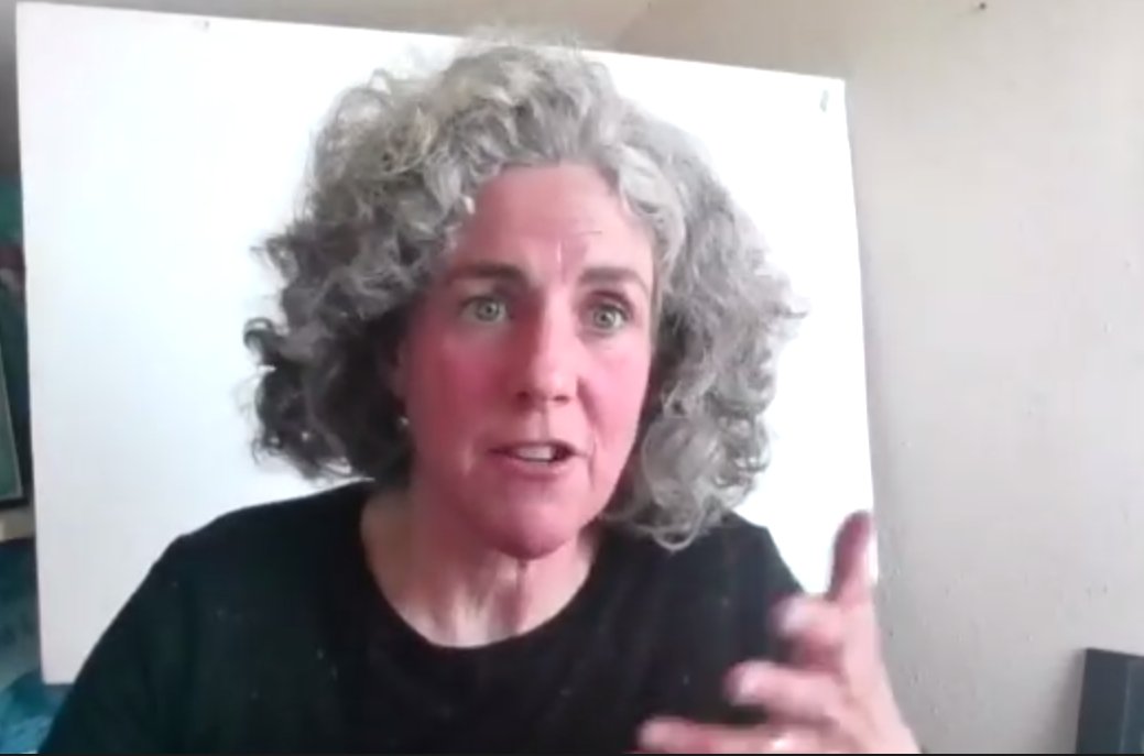 Future Earth Ireland on Twitter "Our HEBuildForwardBetter webinar is underway, chaired by