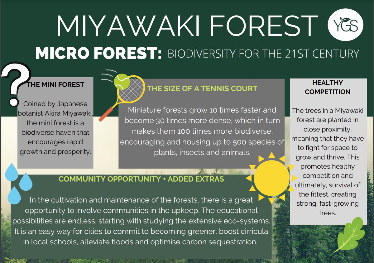 YGSConsultants's tweet photo. #learnsomethingnew Following on from our webinar last week with @futureplym2030 , we'd like to share some facts and quick info as to why we're so excited about the mini forest! 🌿
There's certainly a buzz in the office about this one! #urbanforest What do you think?🌳 https://t.co/0cr3ZJ085t