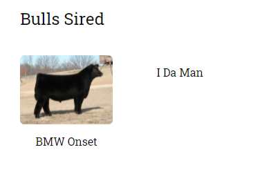 I love show cattle catalogue sites racehorse names are good but these cows always have insane names